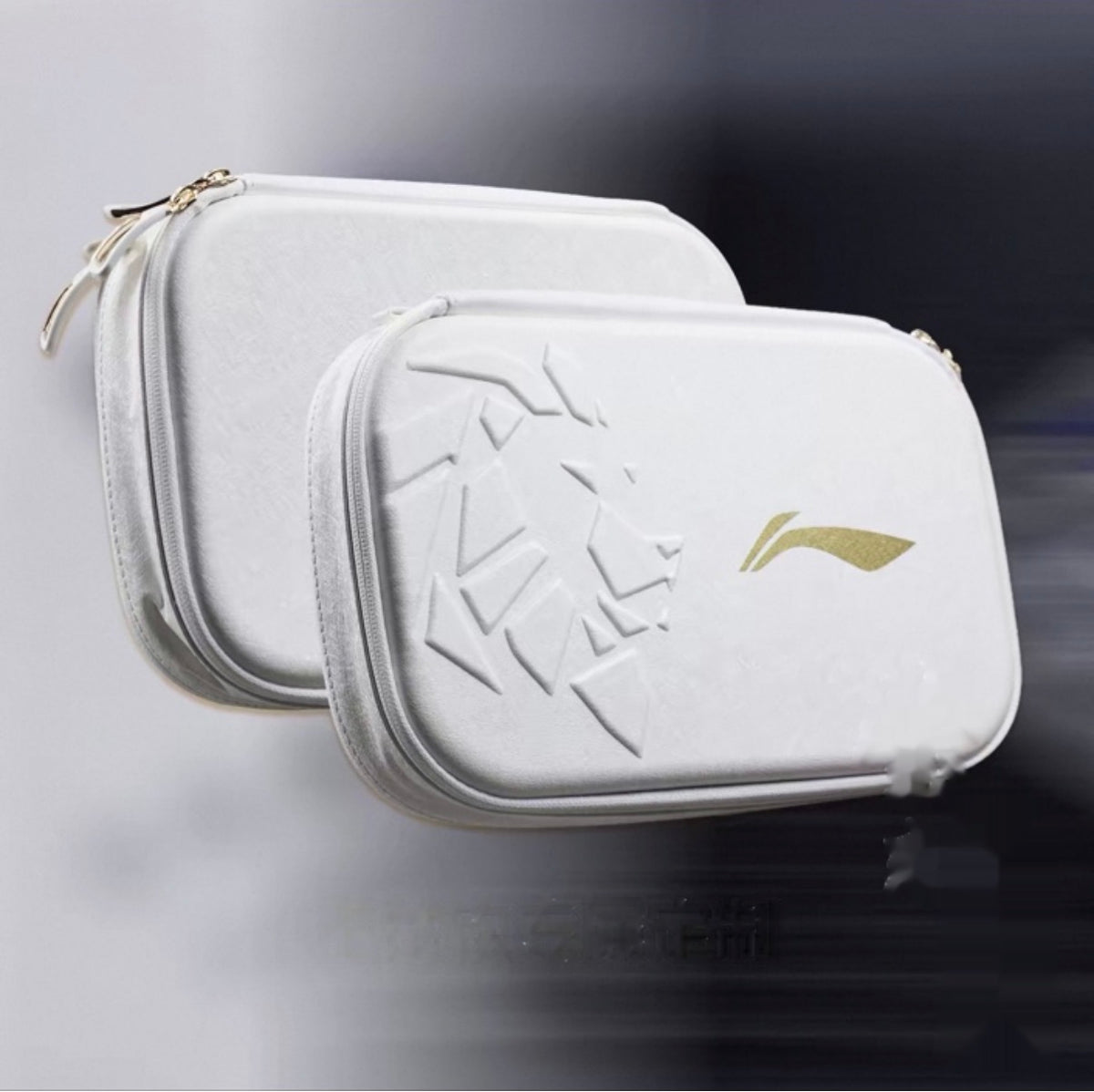 Wang Chuqin Model, White, Double Hard Case